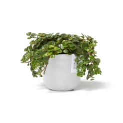 ECOPOTS Oslo Mini - Puur Wit Ø 11,5 Cm