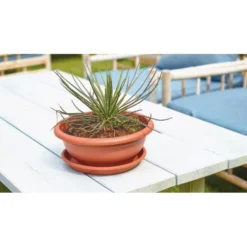 Bloemenschaal Venezia 50 Cm - Terracotta