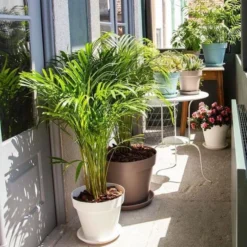 Exporteren Verborgen Tuin Winkel -Exporteren Verborgen Tuin Winkel bloempot capri 40 cm taupe 1610715330 1 600