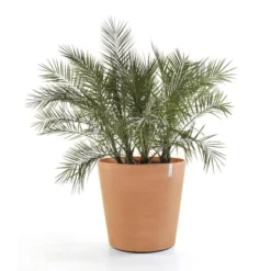 ECOPOTS Amsterdam Op Wielen - Terracotta Ø 60 Cm