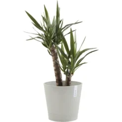 ECOPOTS Venice Met Onderschotel En Waterreserve - Witgrijs Ø 40cm